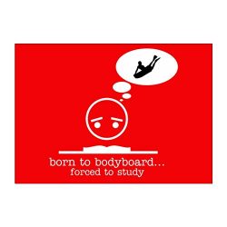 Teeburon BORN TO Bodyboard FORCED TO STUDY ! Pack of 4 Stickers