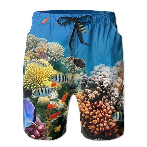 Tydo Tropical Fish Coral Reef Underwater Men's Beach Shorts Quick Dry ...